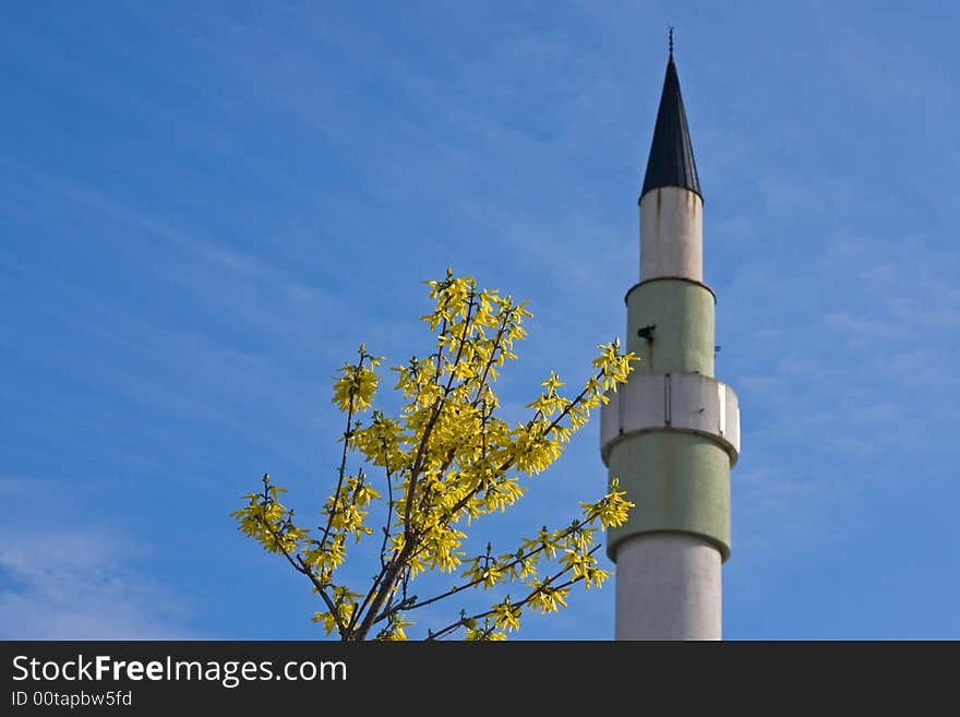 Yellow flower and the mosque under the blue sky. Yellow flower and the mosque under the blue sky