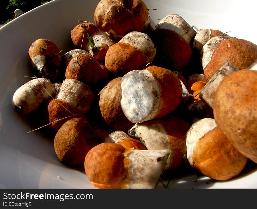 Aspen mushrooms on a dish. Aspen mushrooms on a dish