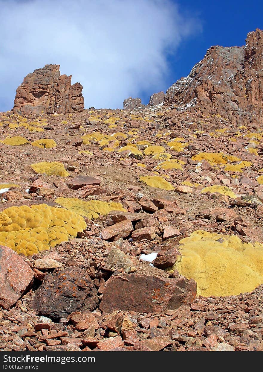 Yellow moss and stones on high mountain slope