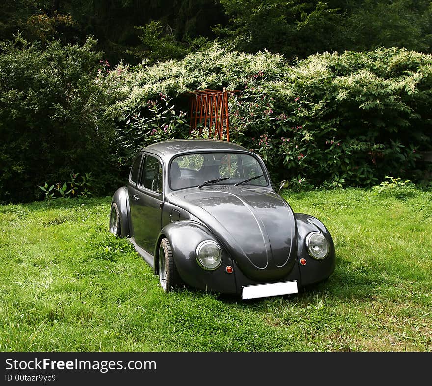 Abandoned car in a forest