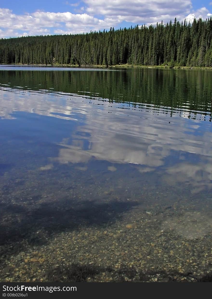 Pine lined lake reflects the clouds and blue sky. Pine lined lake reflects the clouds and blue sky