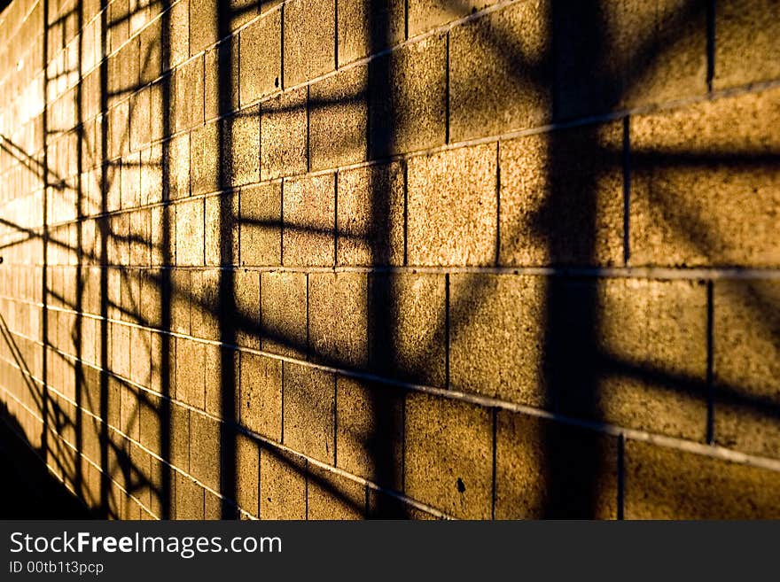 Frame Shadows on Wall