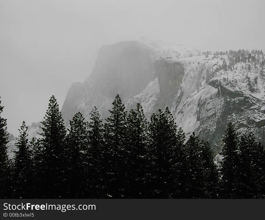 Looking up at Half Dome. Looking up at Half Dome