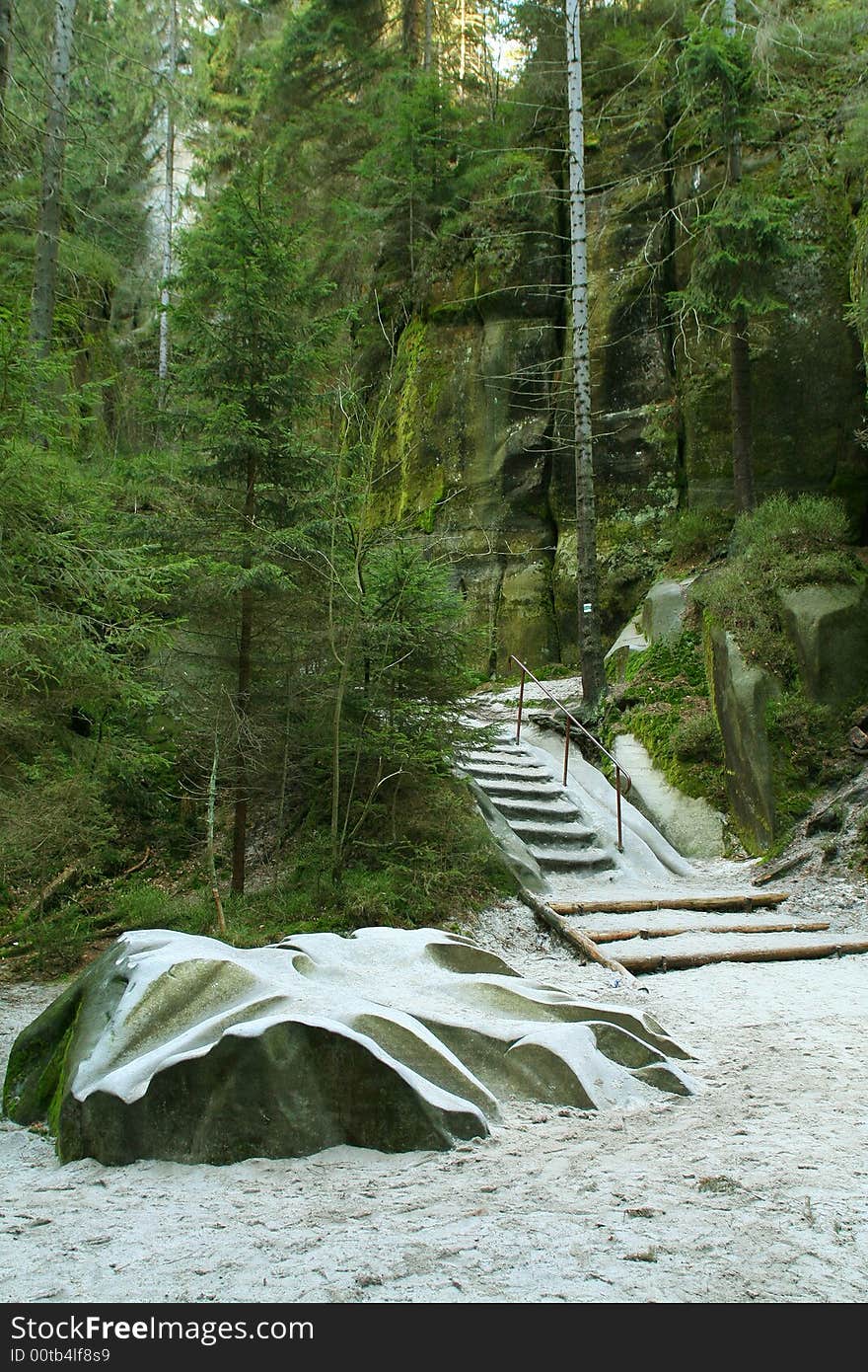 Rock in mist of forest