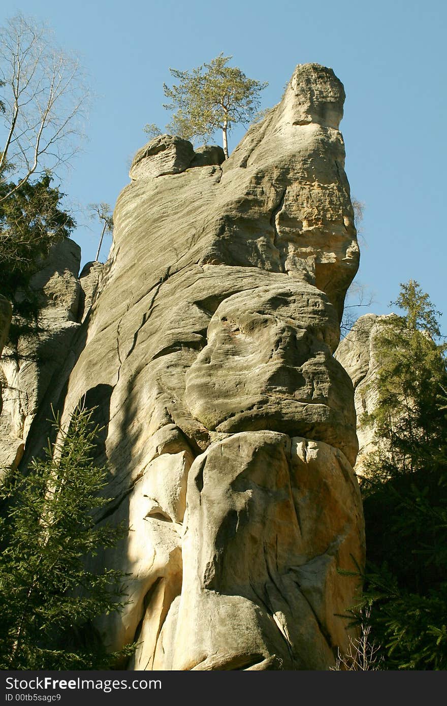 Rock in mist of forest background