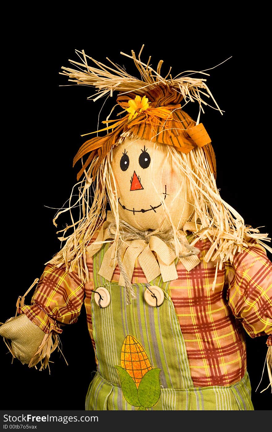 Scarecrow On Black