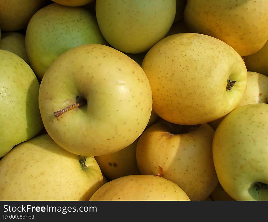 Closeup of Harvest Fresh Organic Apples