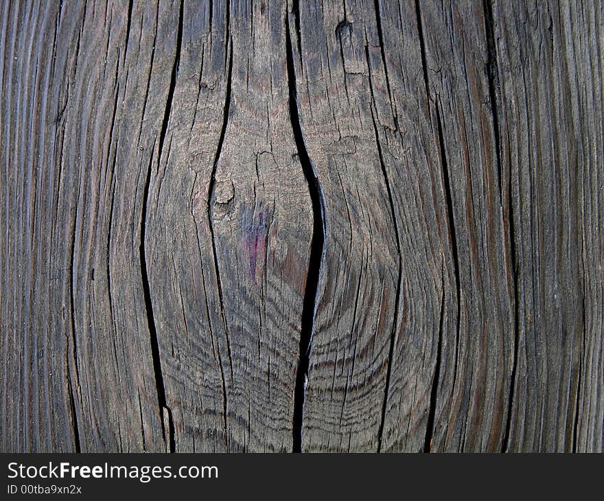 Texture of the old wood. Texture of the old wood