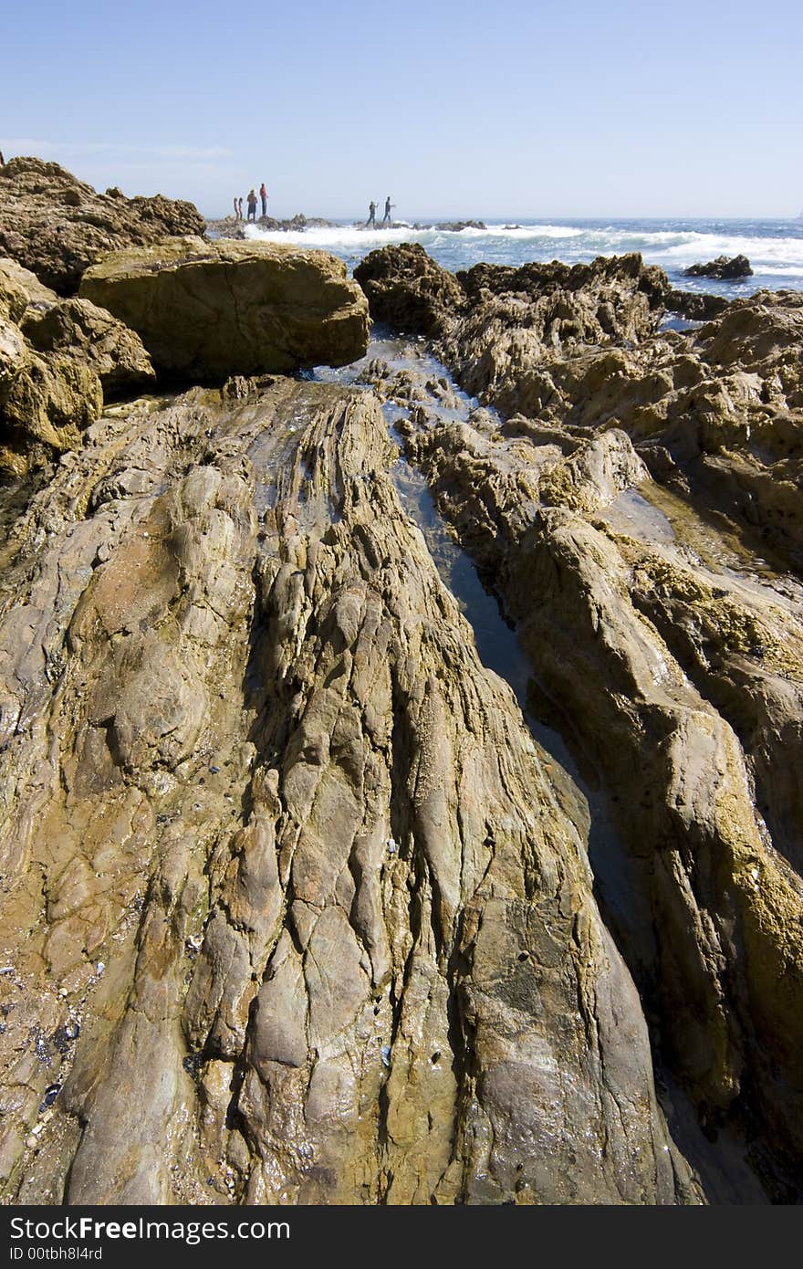 Vertical image of tidepools and the ocean