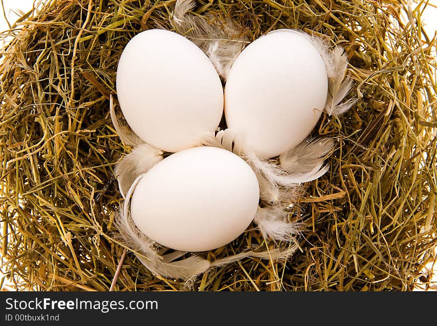 Three chicken white eggs and feathers in a nest from a dry grass close up