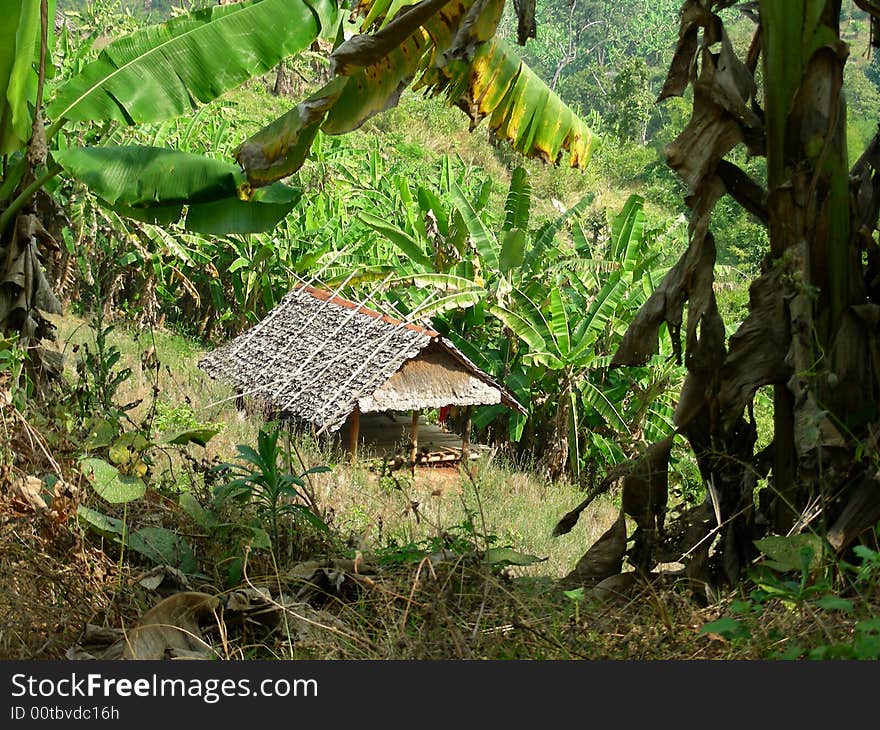 A small camp made of wood surrounded by trees. A small camp made of wood surrounded by trees