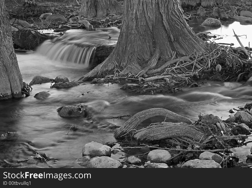 A small creek and the surround trees and root system, slow exposure black and white photography. A small creek and the surround trees and root system, slow exposure black and white photography