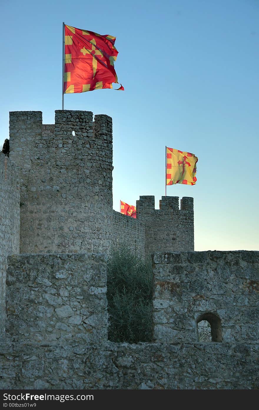 Flags Flutter On The Castle