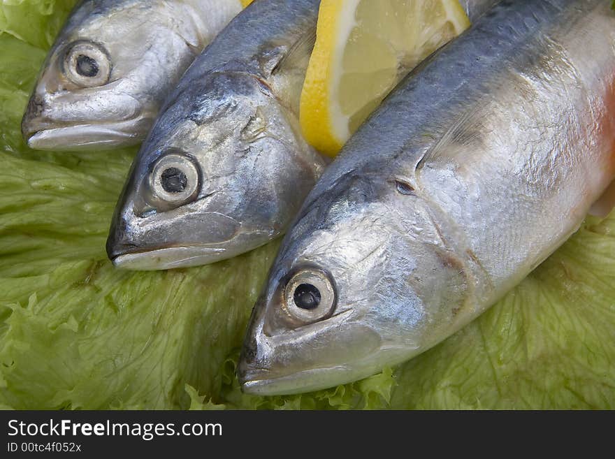 Fish are a popular food and very healthy. Fish are a popular food and very healthy