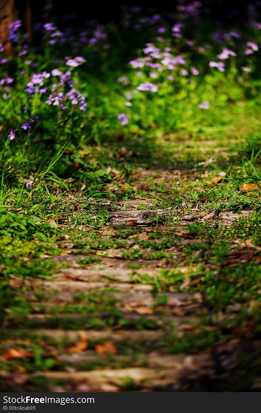 Flower Path