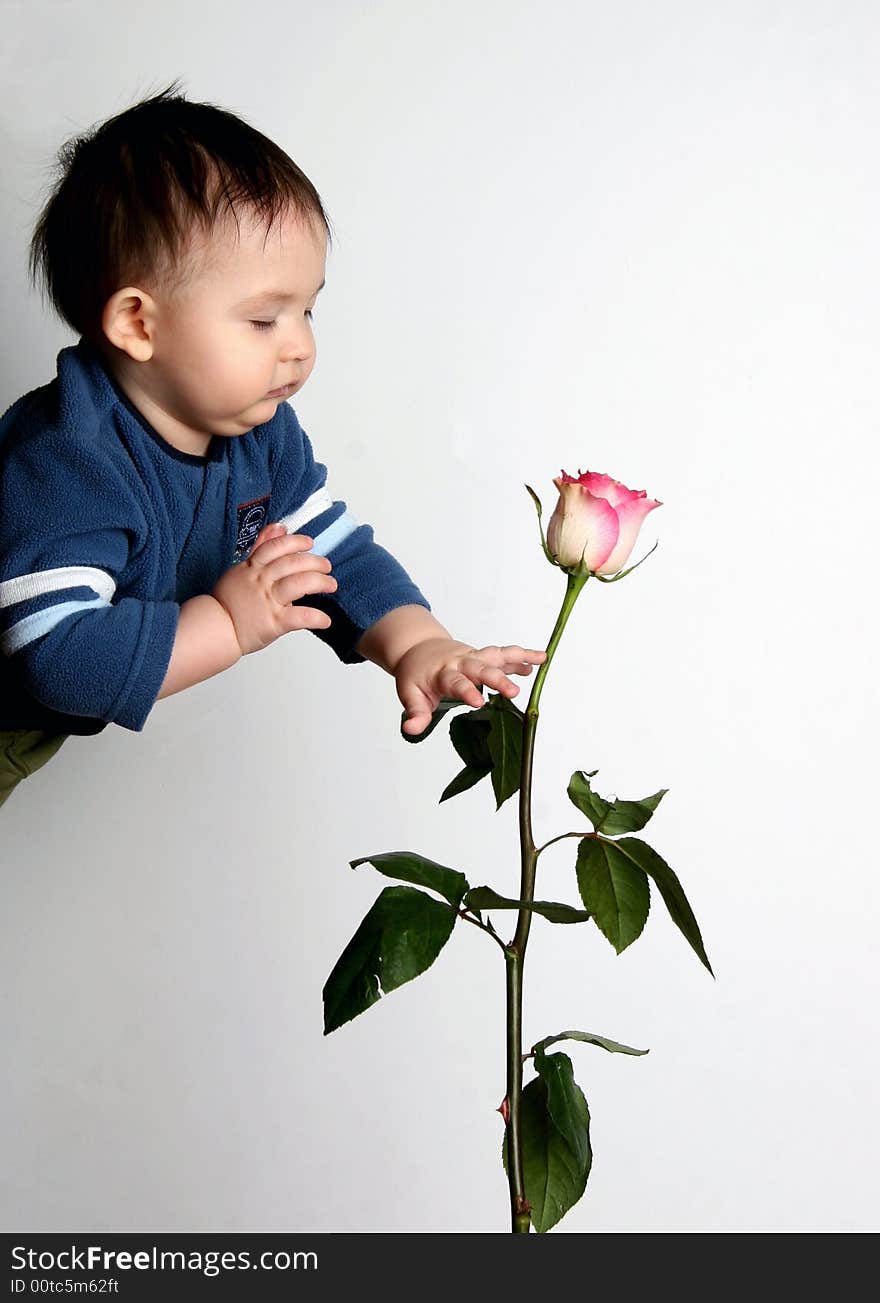 The child and a rose