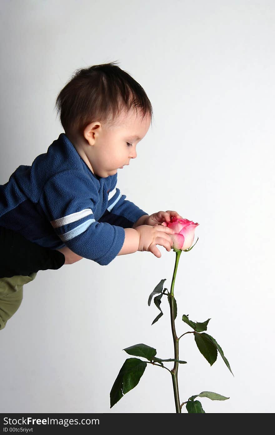 The child and a rose