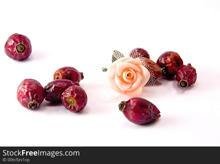 Number of dried rose hips and pink rose macro close up. Number of dried rose hips and pink rose macro close up