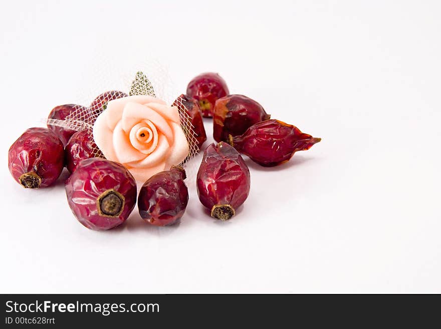 Rose hips and single rose flower macro close up. Rose hips and single rose flower macro close up