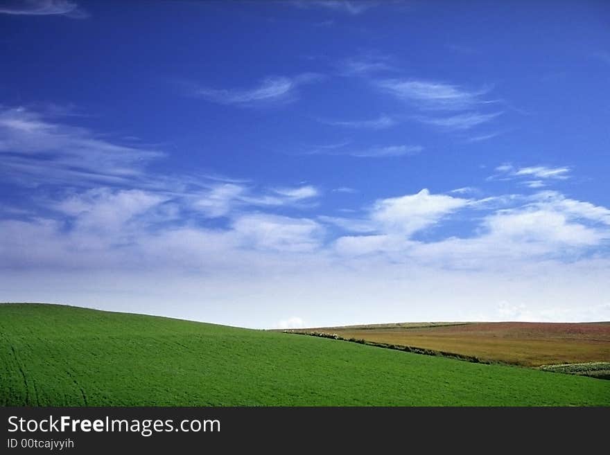 A beautiful sky and grass landscape wallpaper