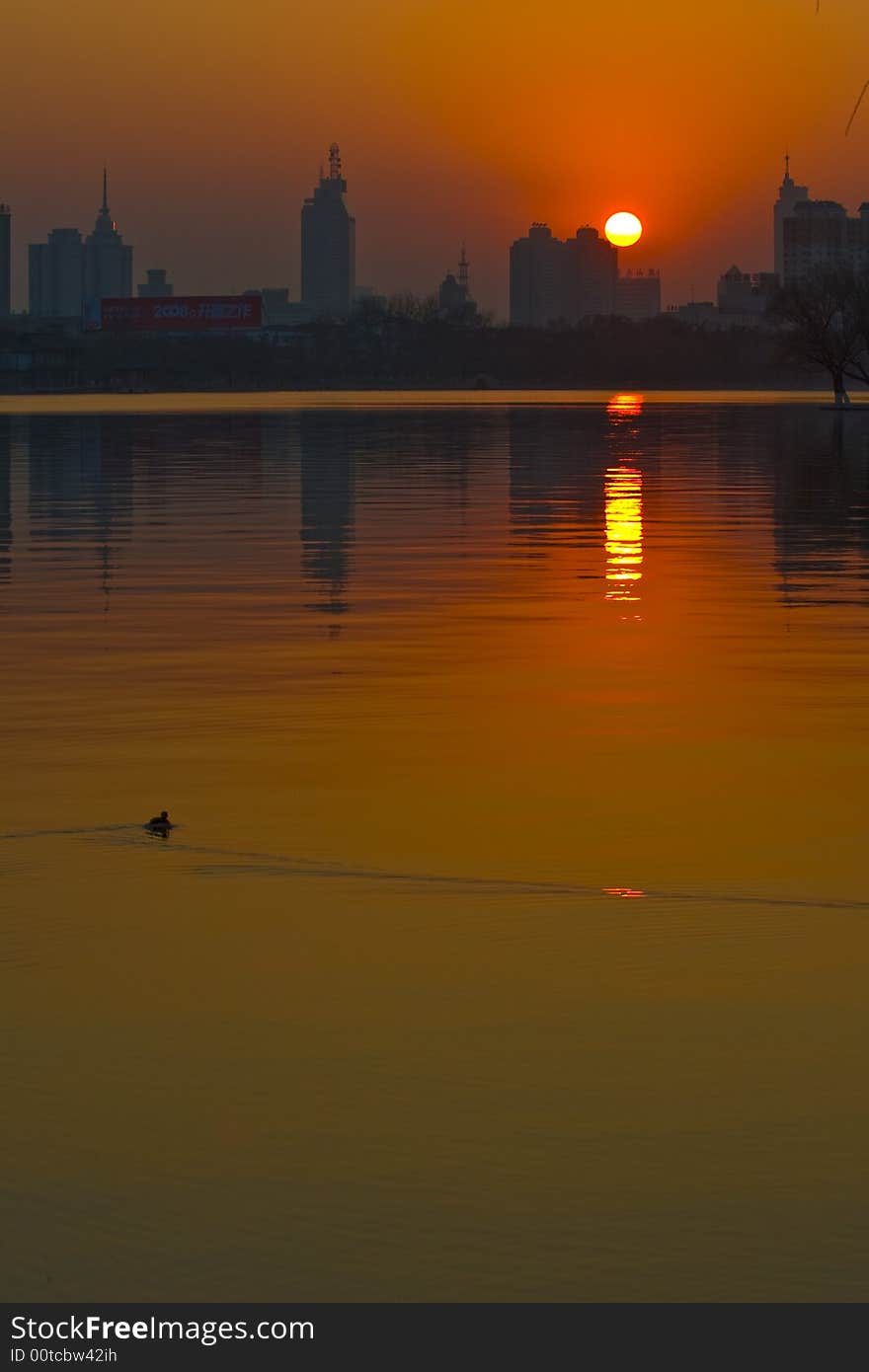 When sunsetting, a duck breaks the quiet of the lake. When sunsetting, a duck breaks the quiet of the lake.