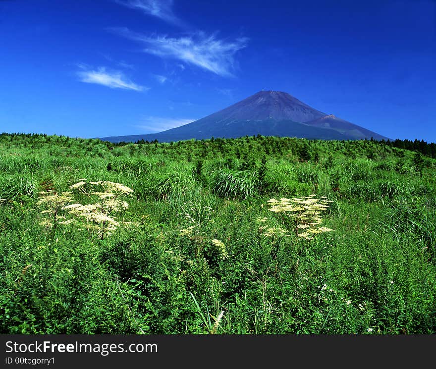 Mt Fuji-319