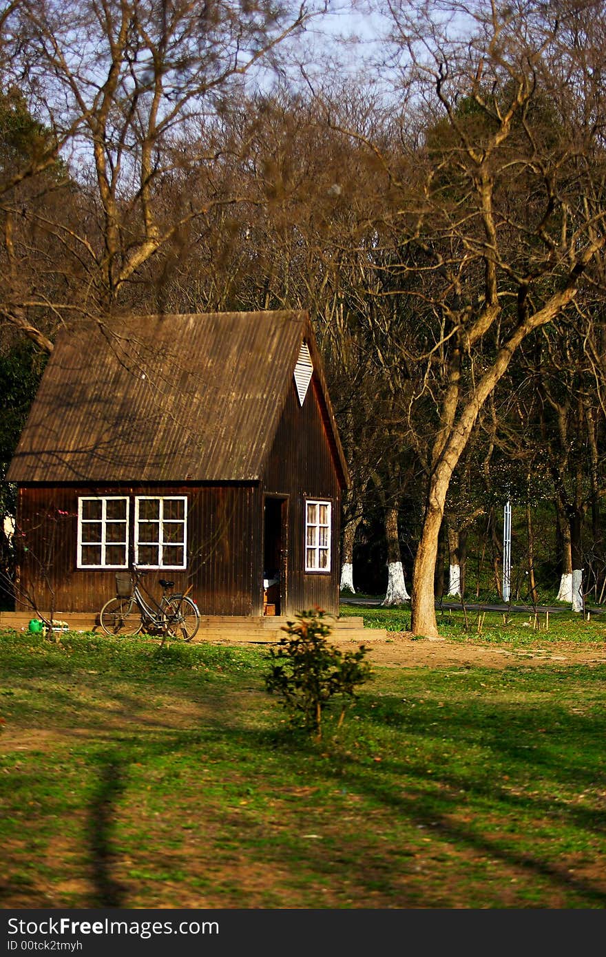 Wood House in Forest