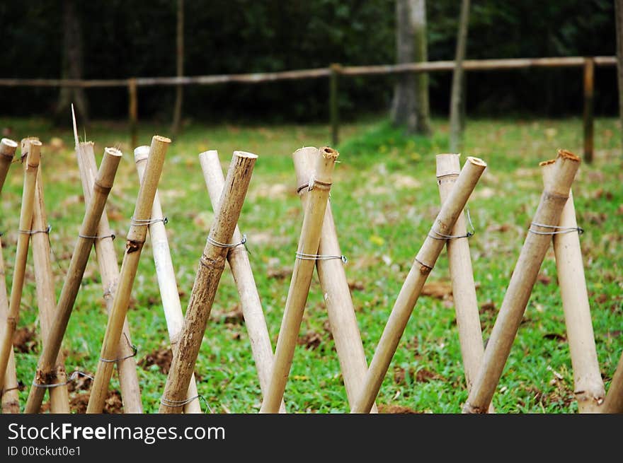 The fence made of bamboo on the green grass. The fence made of bamboo on the green grass