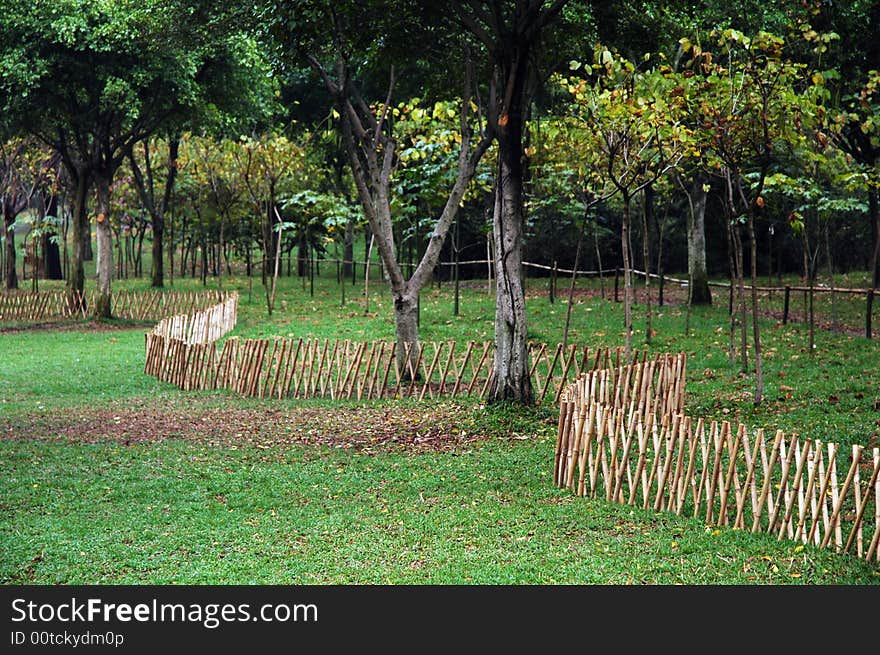 The fence made of bamboo on the green grass. The fence made of bamboo on the green grass