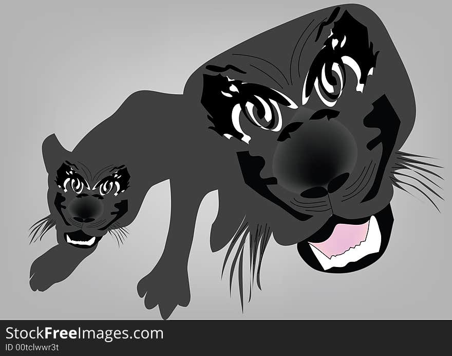 Panther illustration on gray background