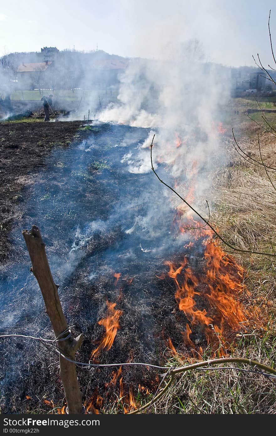 Fire burning at the agriculture land at the daylight