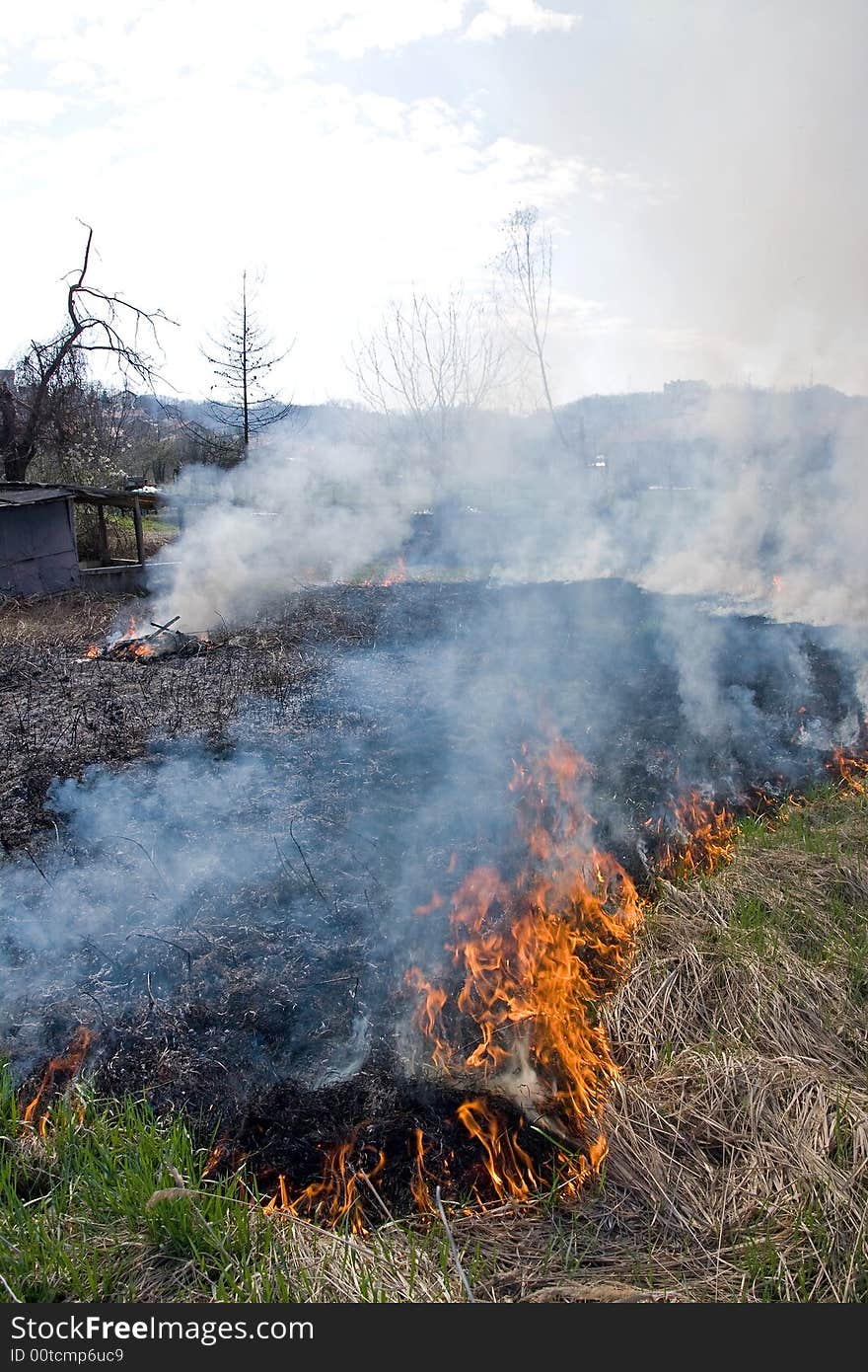 Fire burning at the cultivation soil in spring during seed preparation