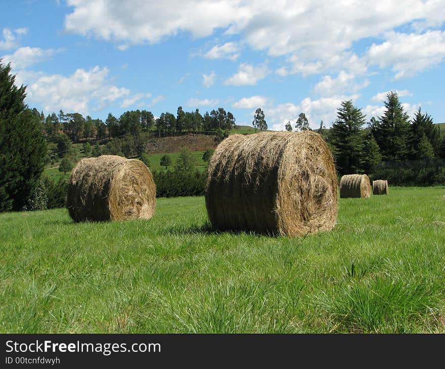 Hay bales on a green field