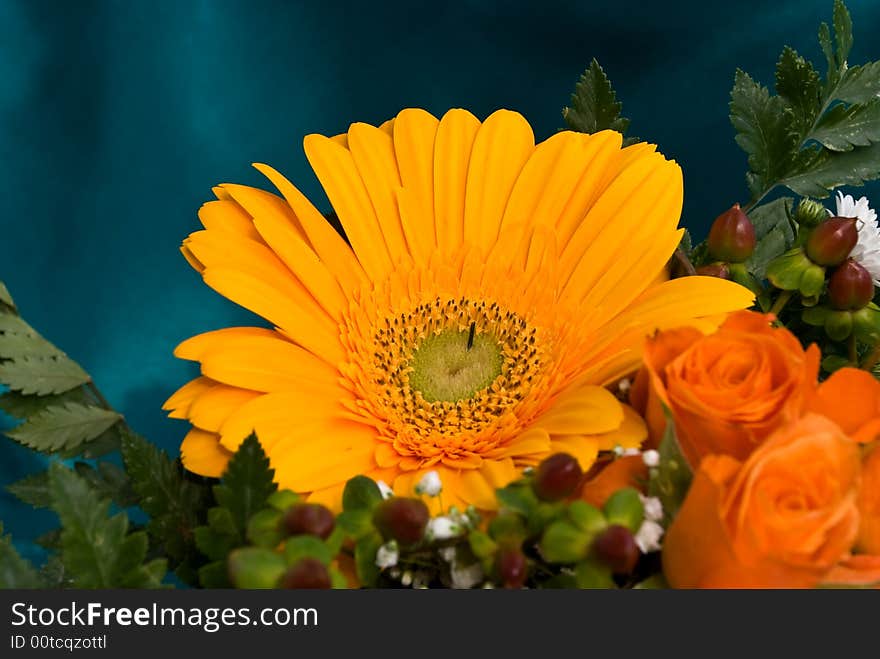 A big yellow gerbera with roses