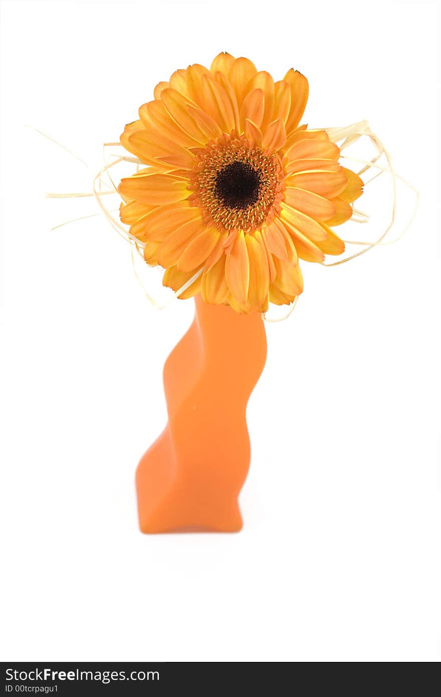 Orange flower