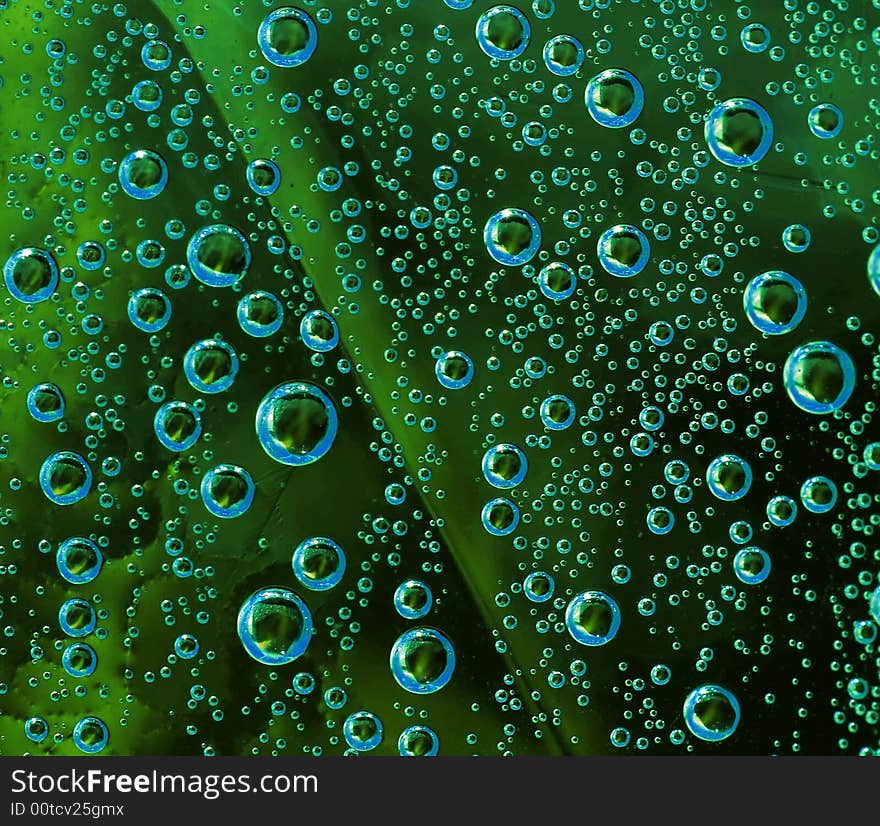 Bubbles in a plastic bottle