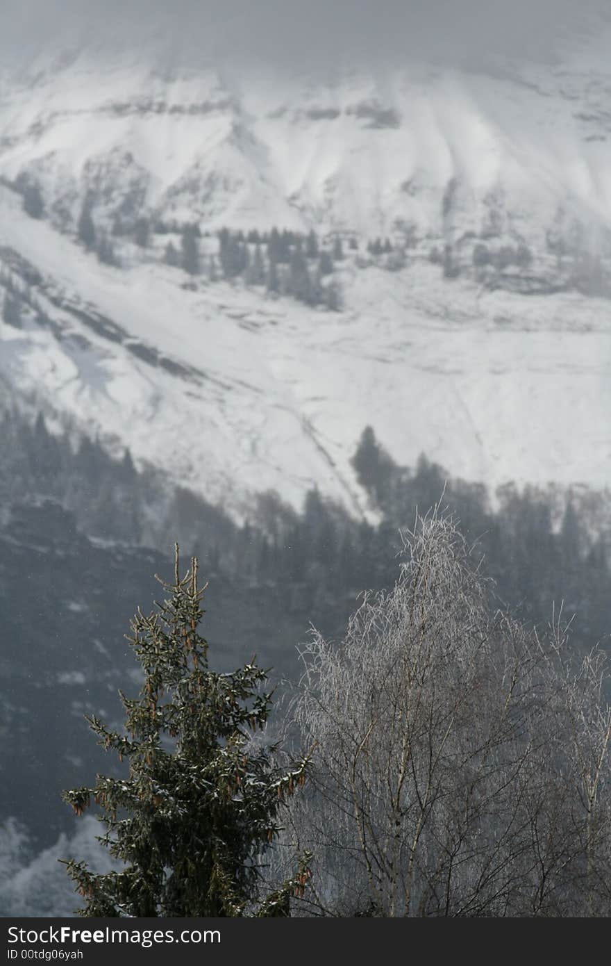 Trees in foreground, mountain range with clouds and snow, in the background. Trees in foreground, mountain range with clouds and snow, in the background.