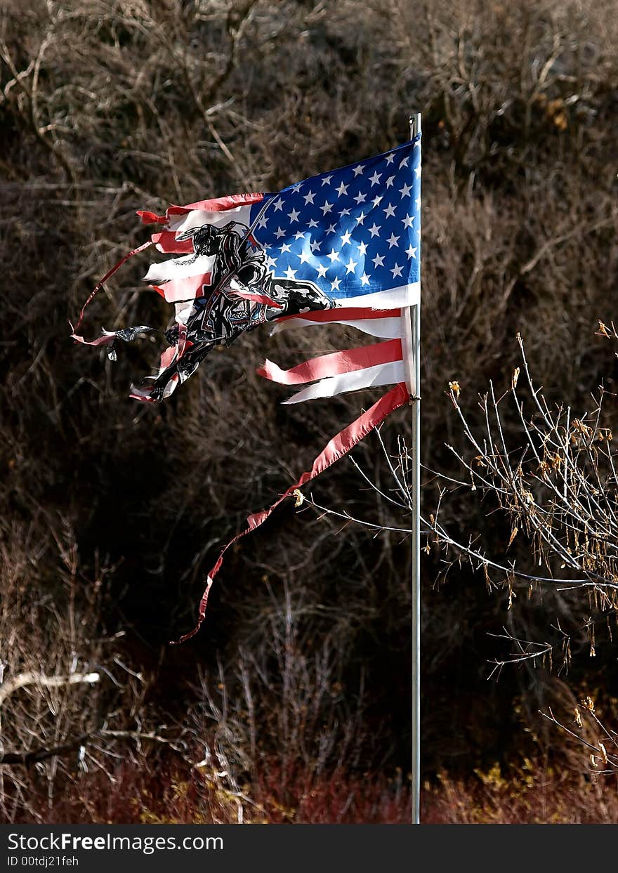 Tattered America flag and pole with image on flag. Tattered America flag and pole with image on flag