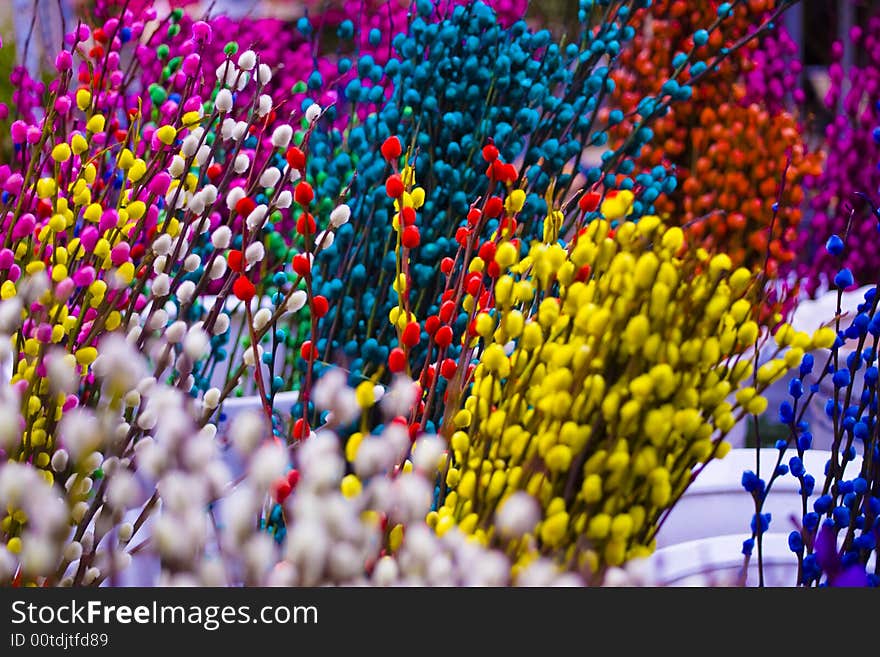 Colored Flowers In Market