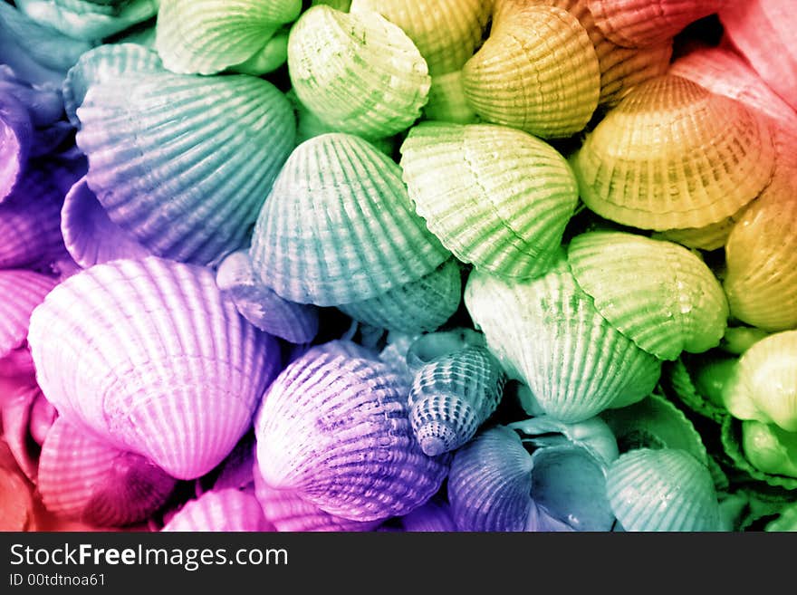 Cockleshells background