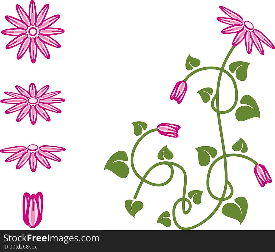 Floral Design Element