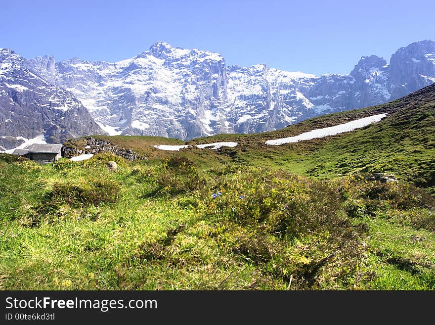 Spring Alps