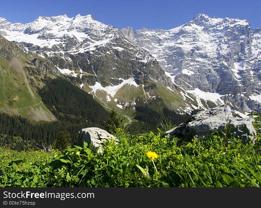 Spring floral mountains