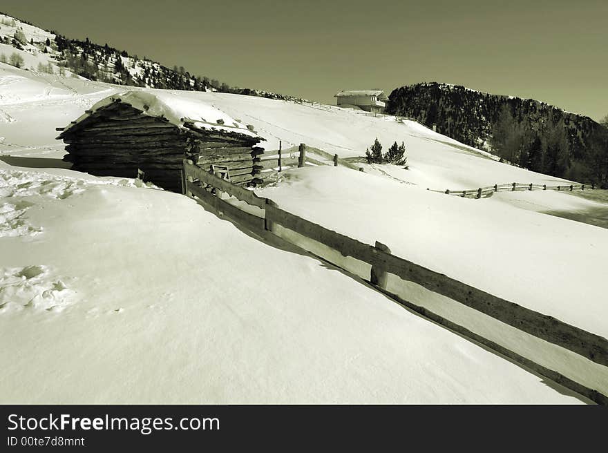 Winter landscape