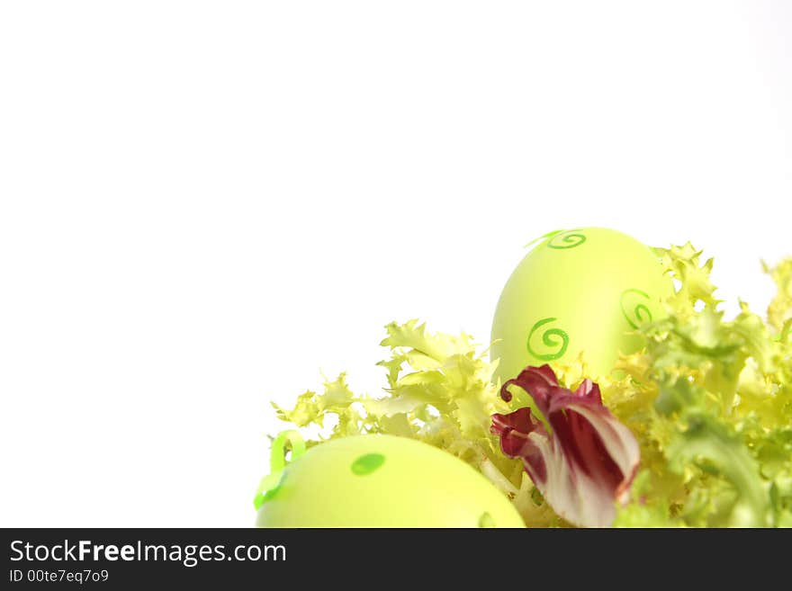 Easter eggs in salad separate on white