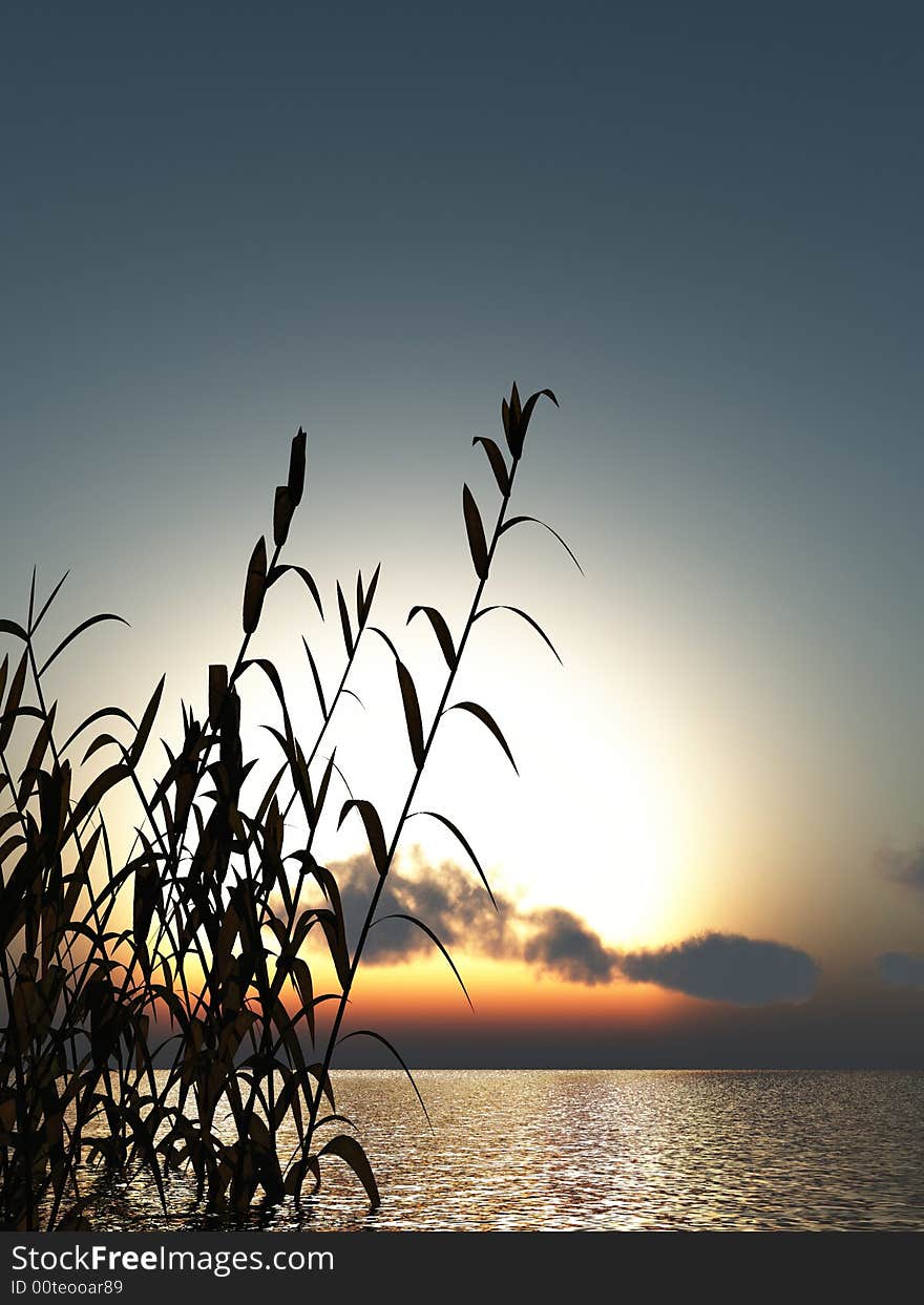 Water plants on a sea sunset  background  -  3D scene. Water plants on a sea sunset  background  -  3D scene.