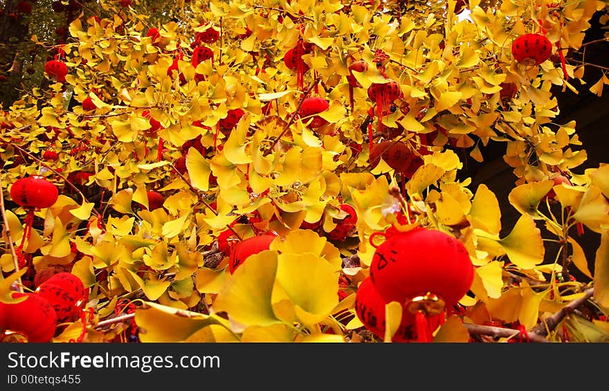 Wash asian China chinese red Lanterns