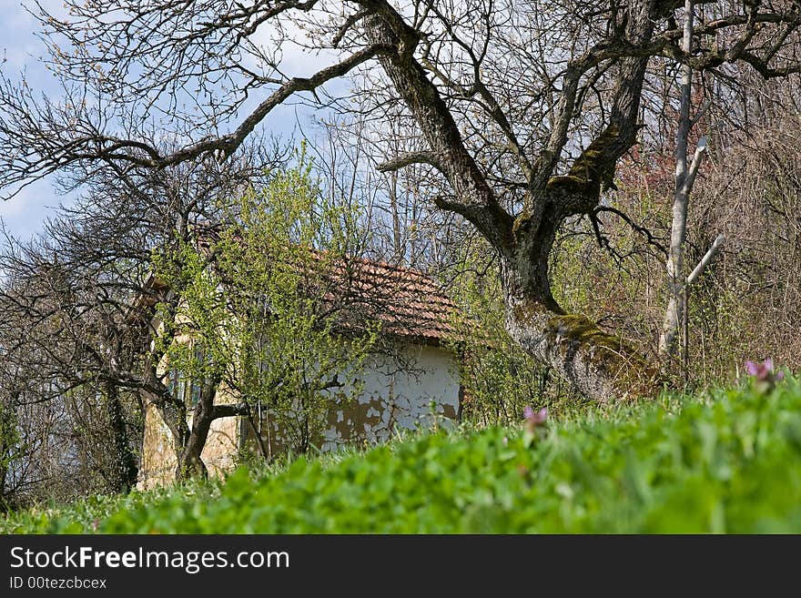 Old house