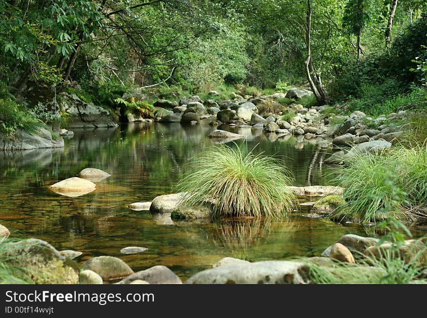 River Scenics