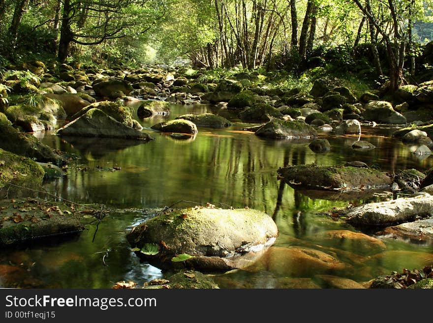 River scenics with green atmosfere